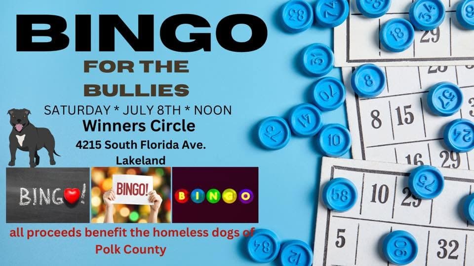 Bingo For The Bullies