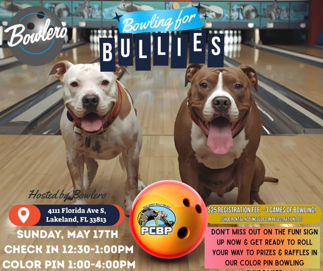 Bowling for Bullies